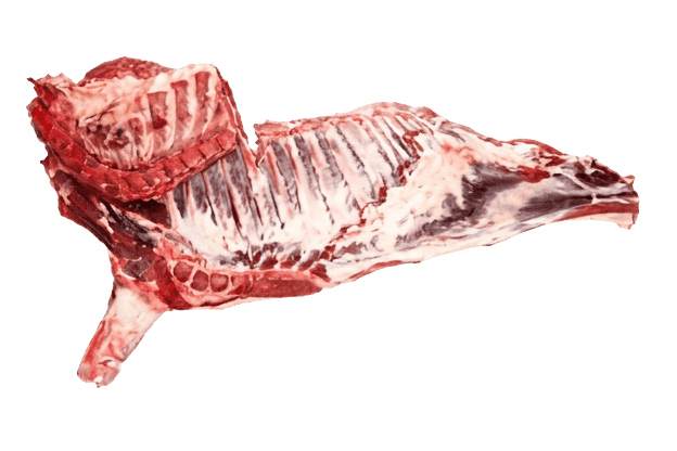 Forequarter