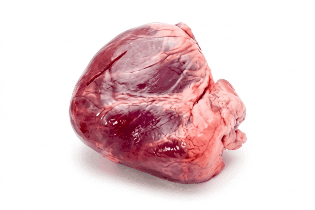Heart
