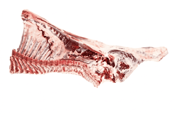 Hindquarter