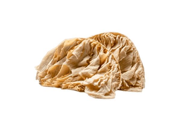 Omasum