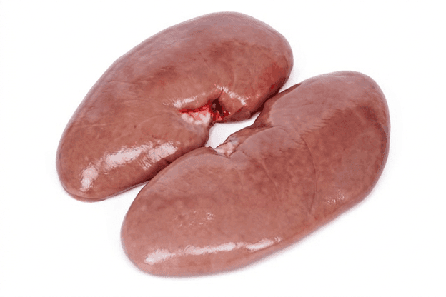 Kidneys