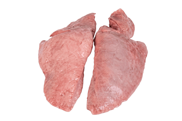 Lung