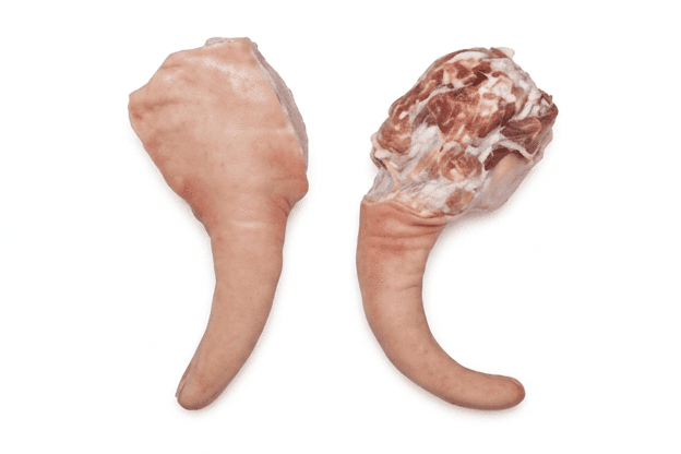 Tail