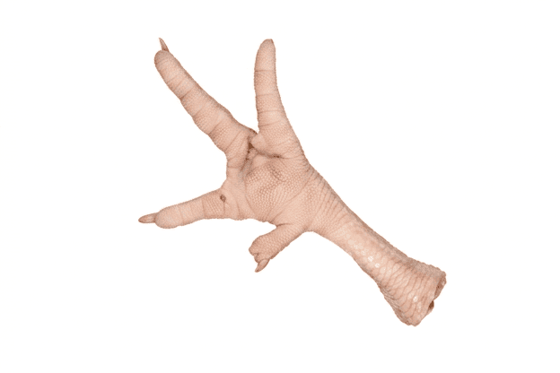Feet Grade B