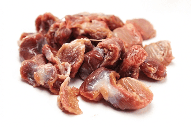 Gizzard