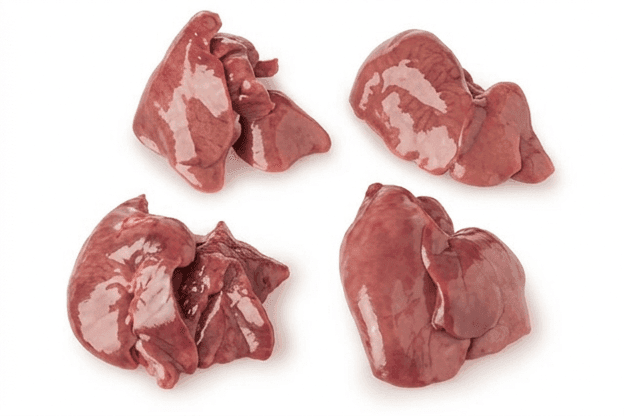Liver