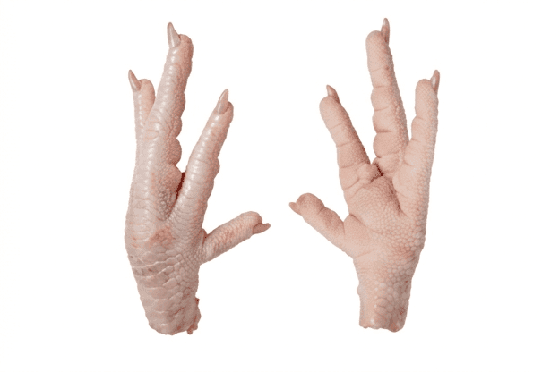 Paws Grade A