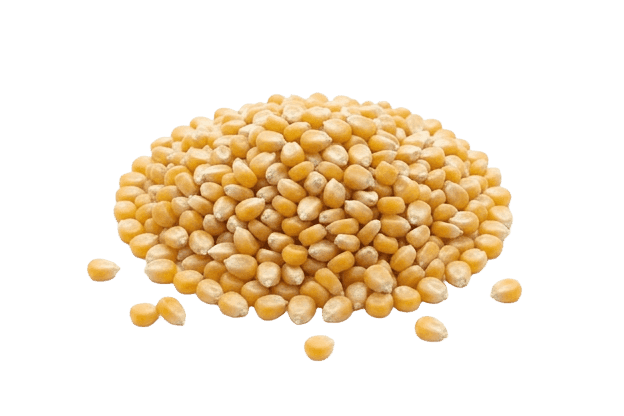 Yellow Corn